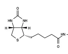 N酰燸鞤'?氫<叜i澡鵓渾簨+韅企麸X蜽E?p?踭?怑5絗卮vL彊U?犍頁l的简单介绍